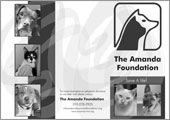 Amanda Foundation Brochure - InDesign, Photoshop, Illustrator, Acrobat
