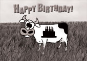 Birthday Card