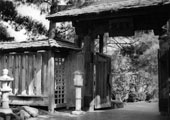 The Entrance - 35MM SLR Manual Camera